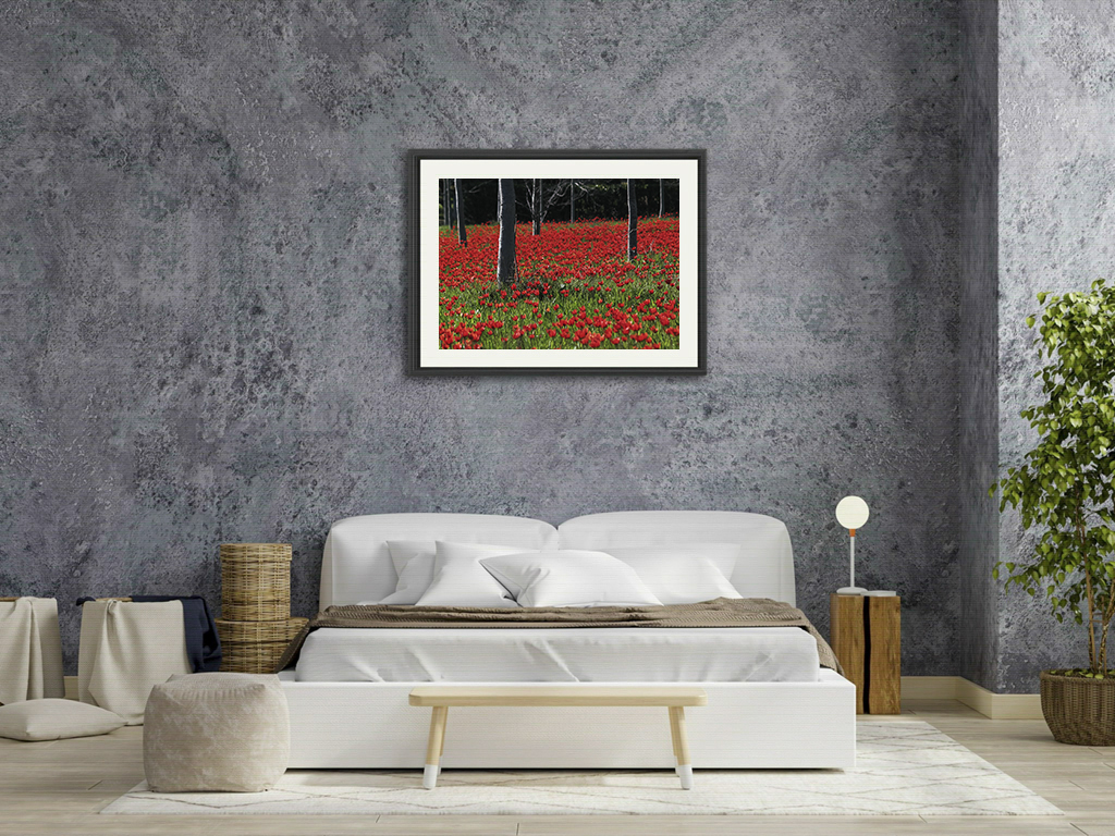 Tapis rouge – Image 7