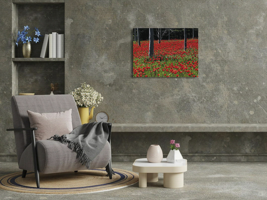 Tapis rouge – Image 3