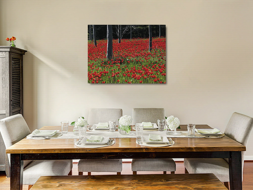 Tapis rouge – Image 6