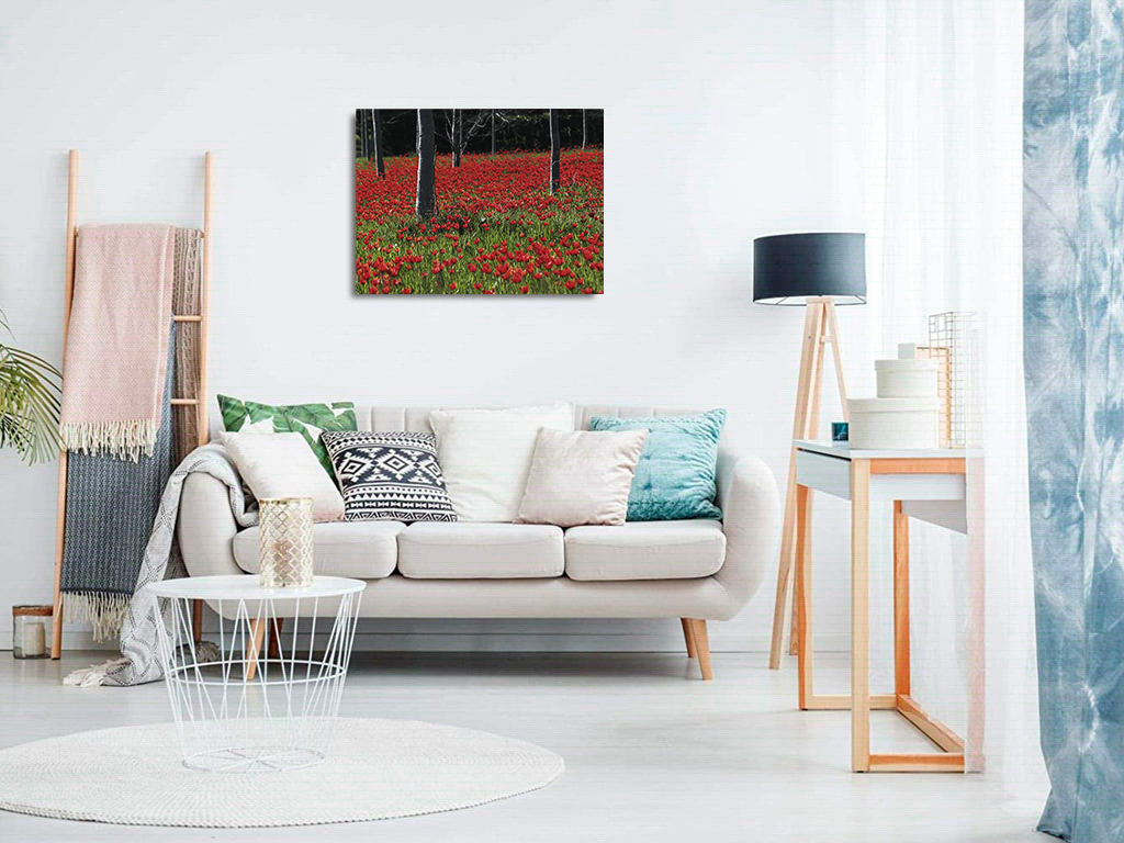 Tapis rouge – Image 8