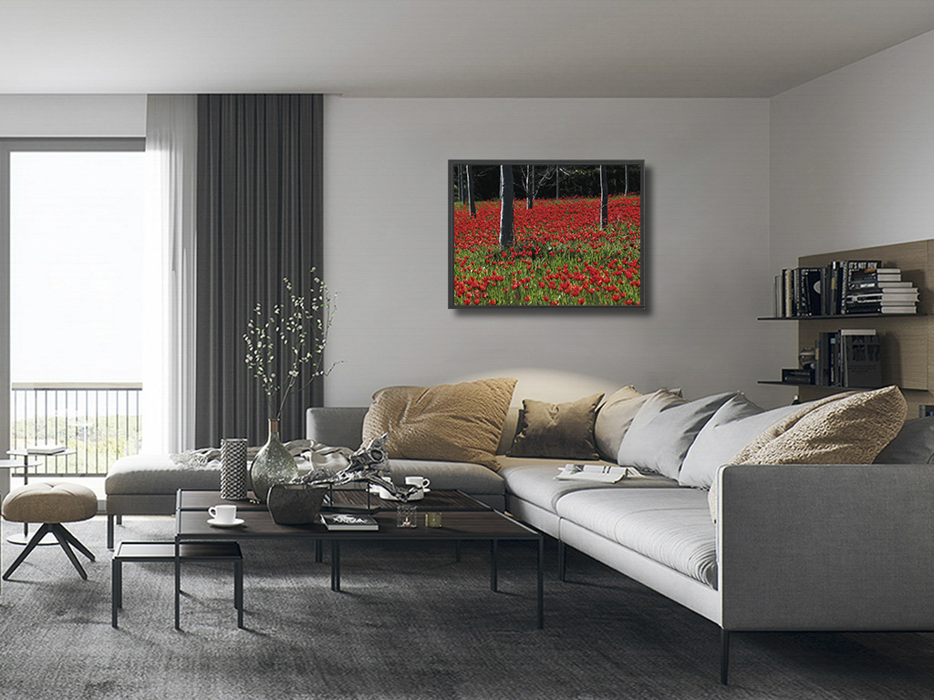 Tapis rouge – Image 5