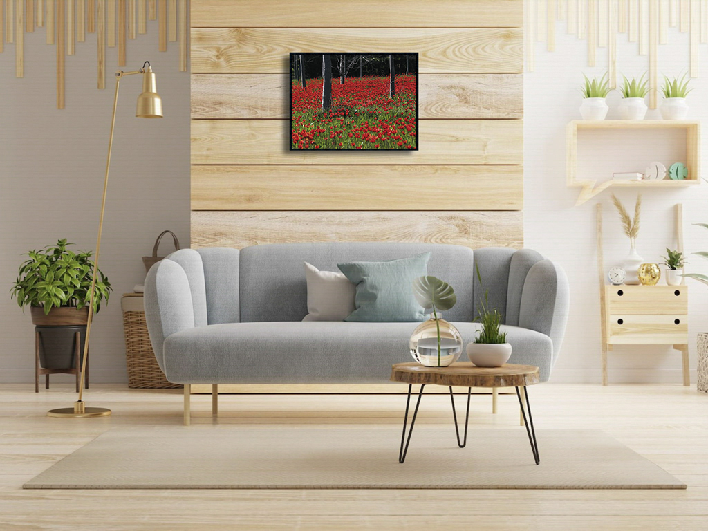 Tapis rouge – Image 2