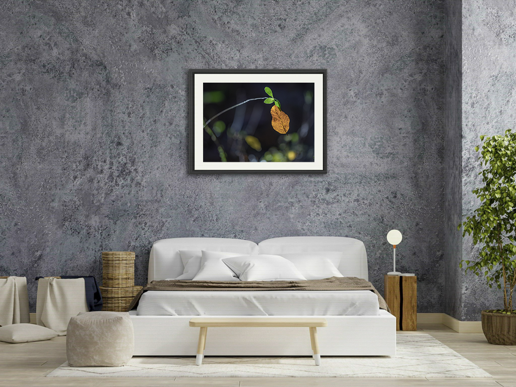 Un câlin si humain – Image 7