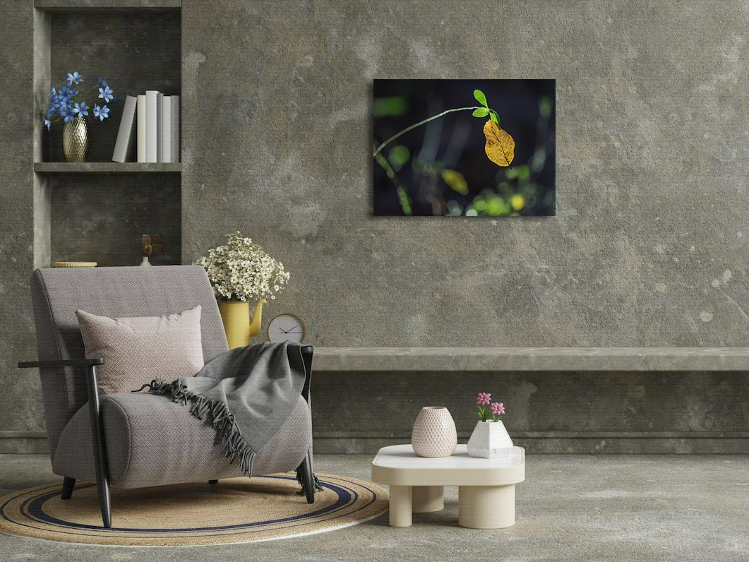 Un câlin si humain – Image 3