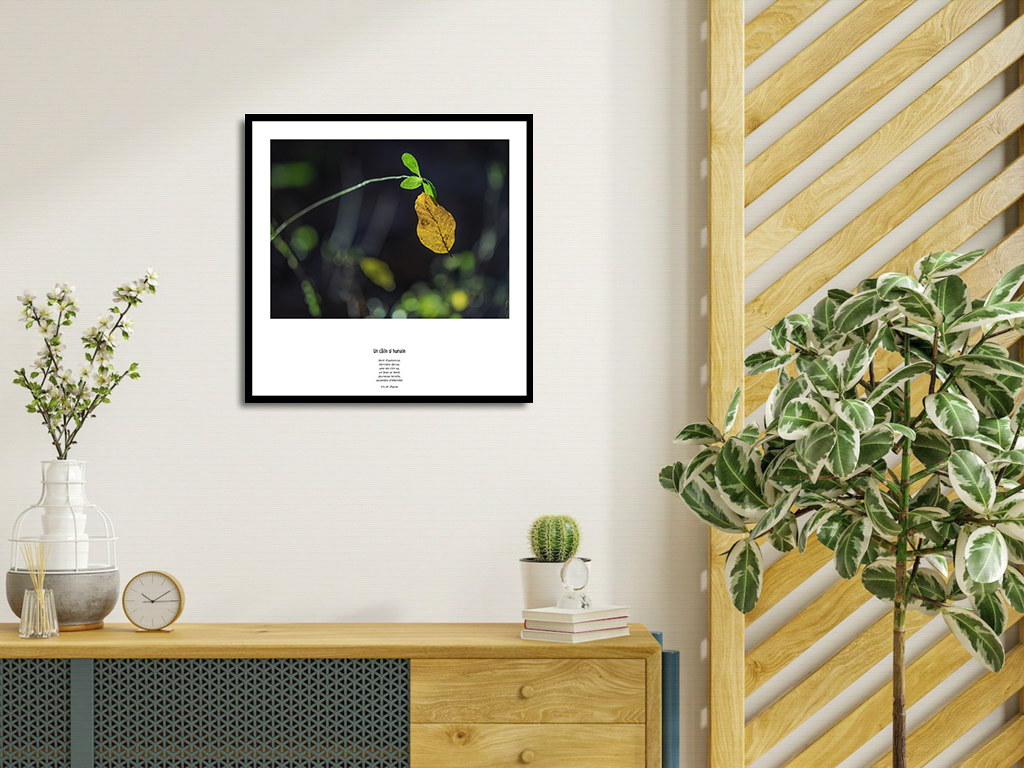 Un câlin si humain – Image 4