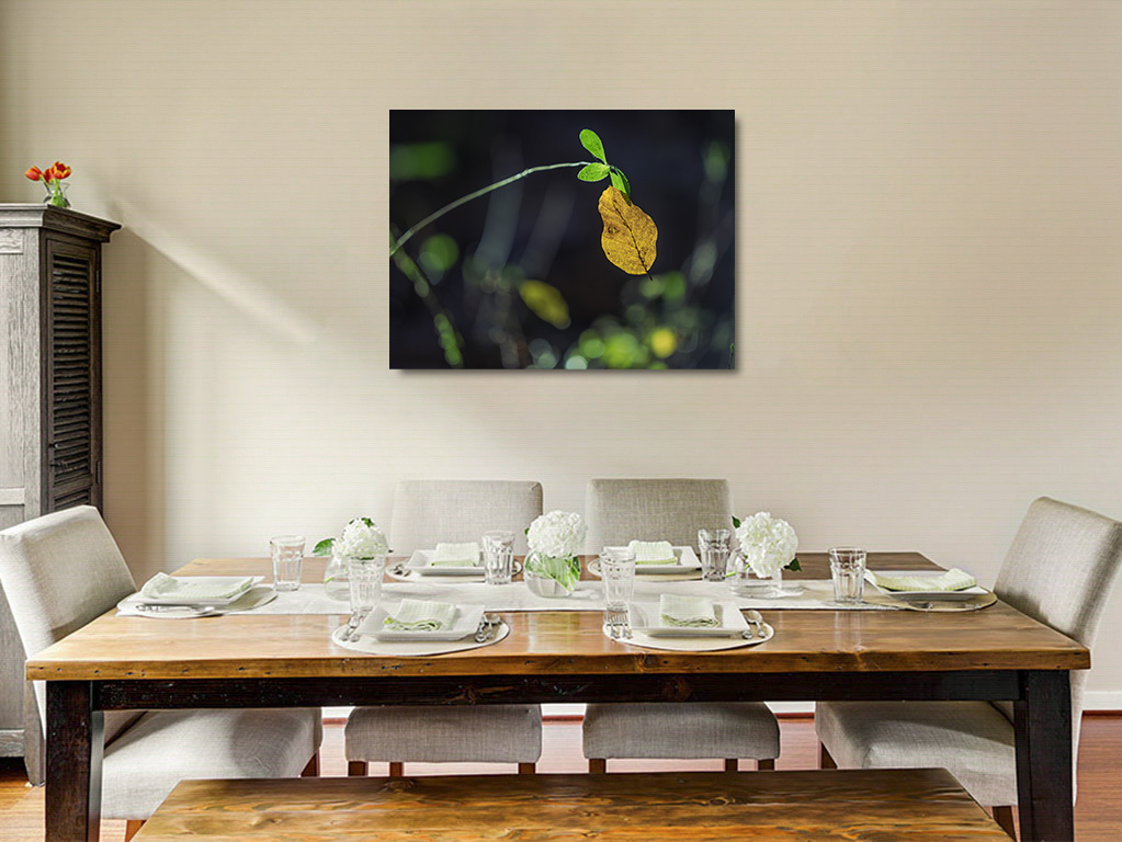 Un câlin si humain – Image 6