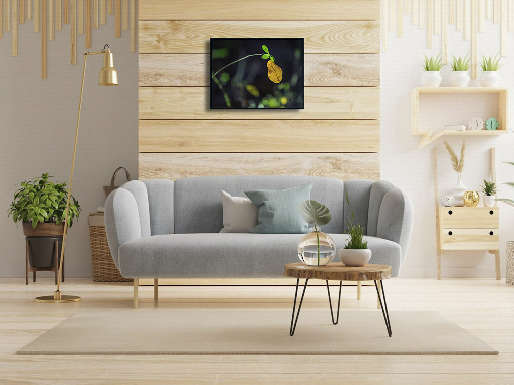 Un câlin si humain – Image 2