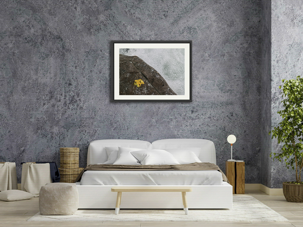 A la mémoire de Topsy – Image 7