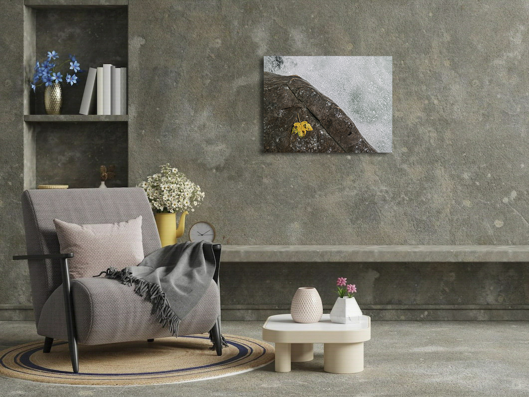 A la mémoire de Topsy – Image 3