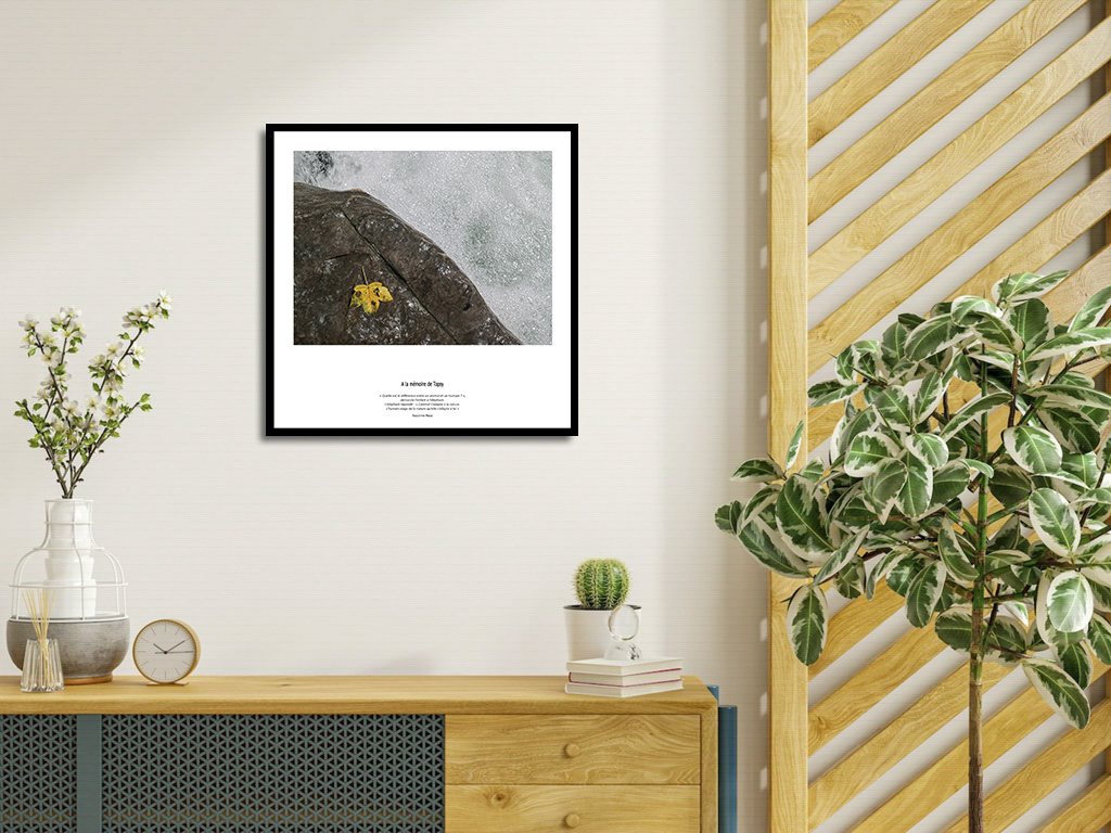 A la mémoire de Topsy – Image 4