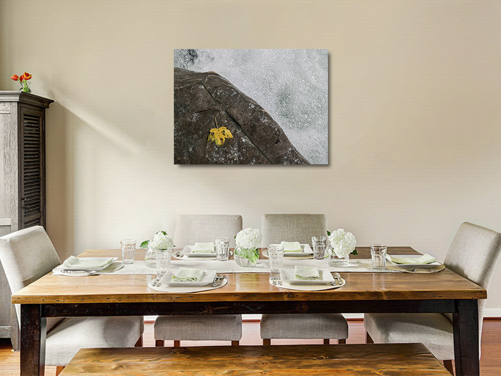 A la mémoire de Topsy – Image 6