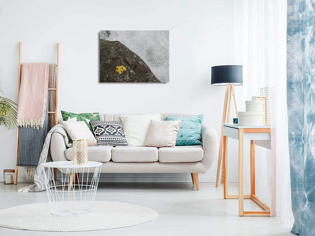 A la mémoire de Topsy – Image 8