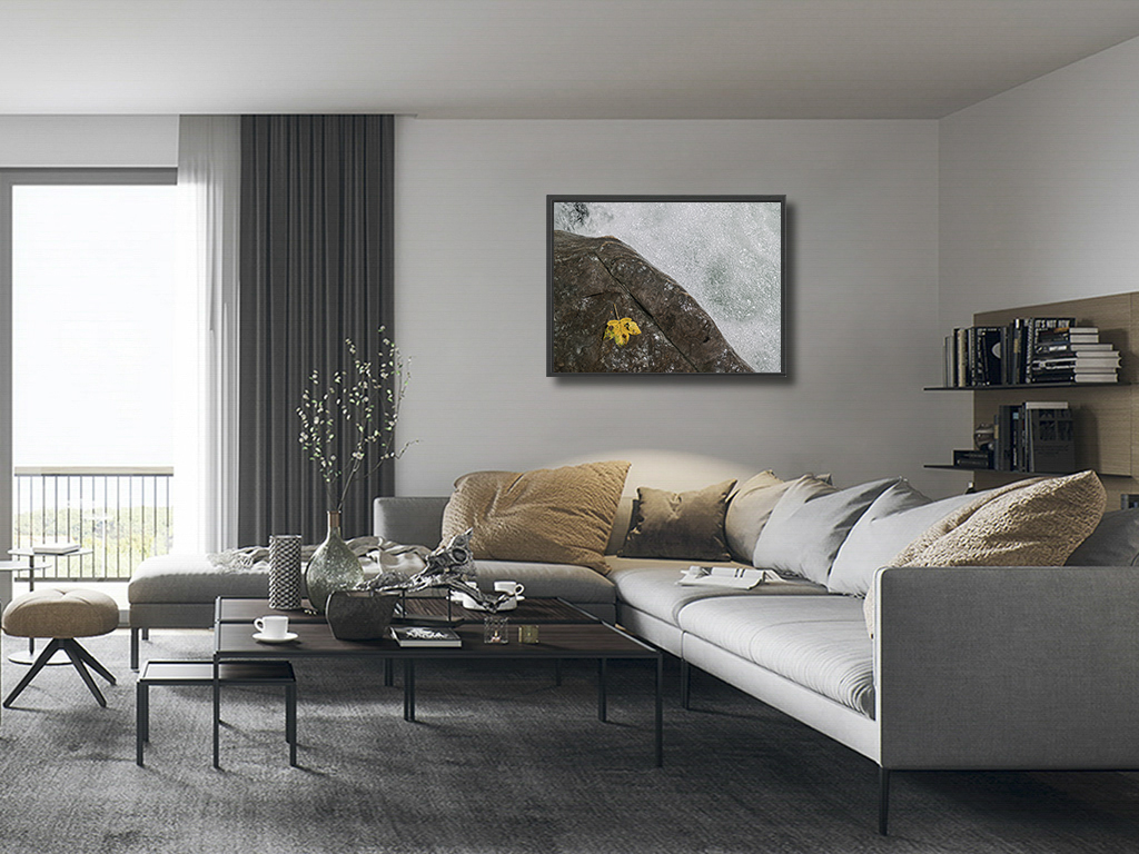 A la mémoire de Topsy – Image 5