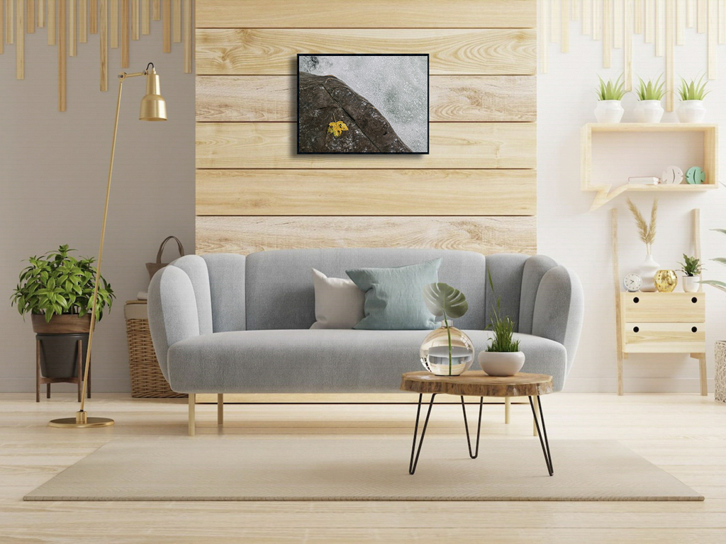 A la mémoire de Topsy – Image 2