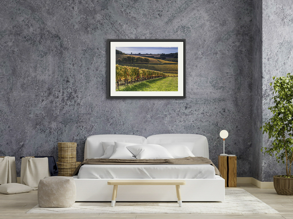 Après les vendanges – Image 7