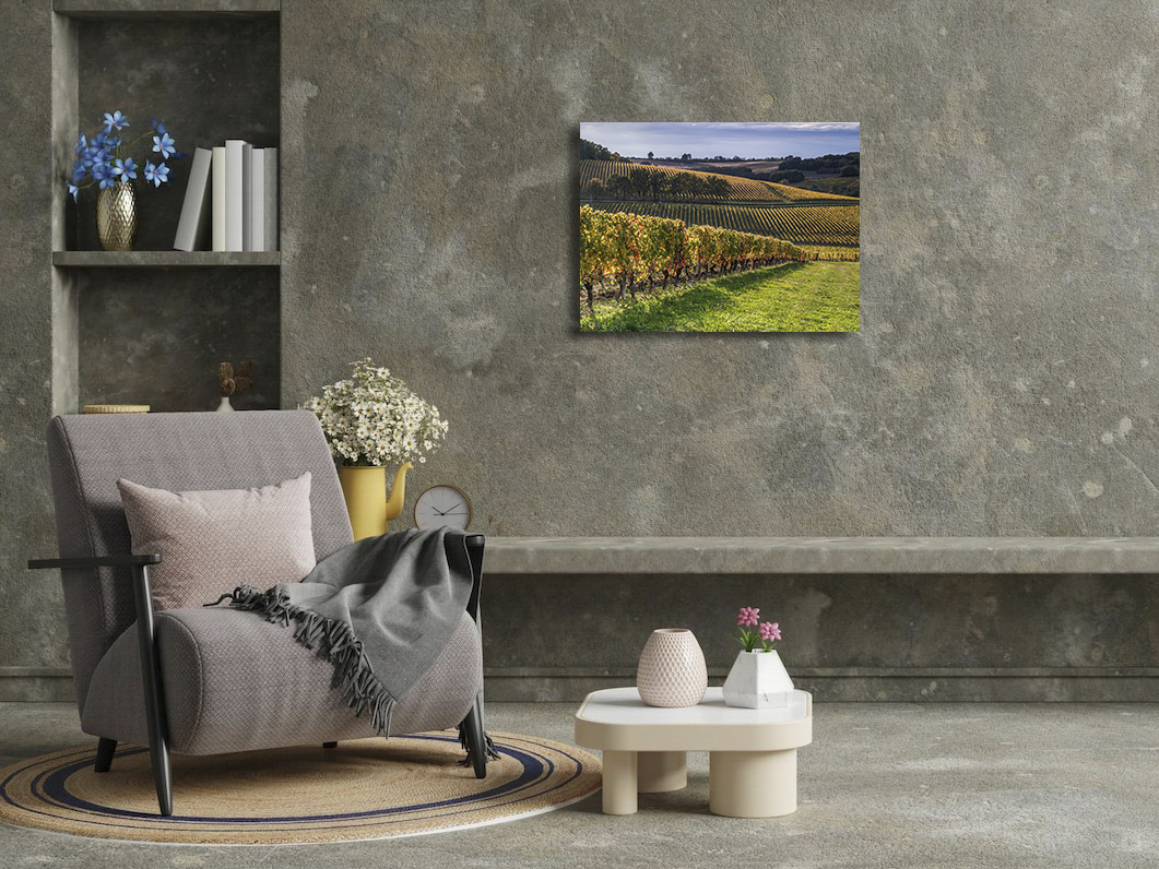 Après les vendanges – Image 3