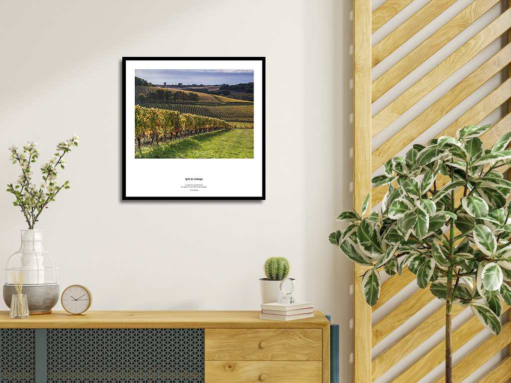 Après les vendanges – Image 4