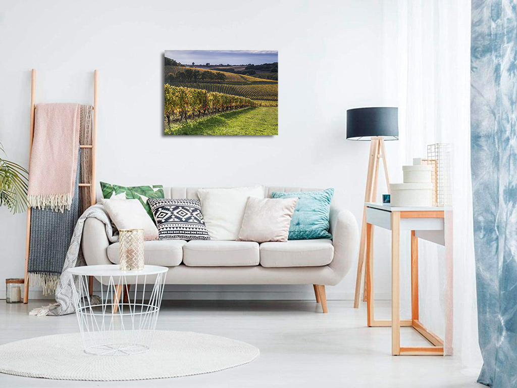 Après les vendanges – Image 8