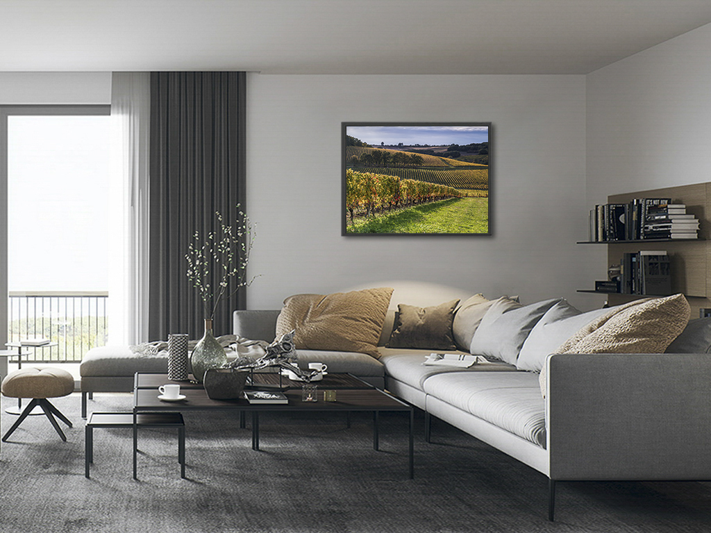 Après les vendanges – Image 5