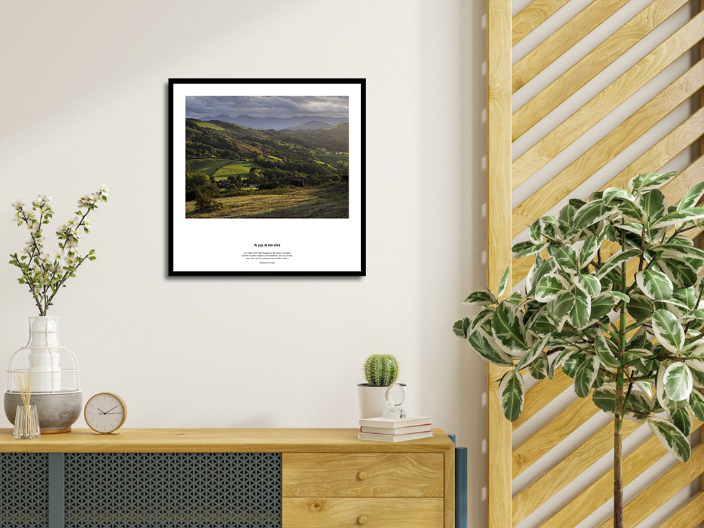 Au pays de mon arbre – Image 4