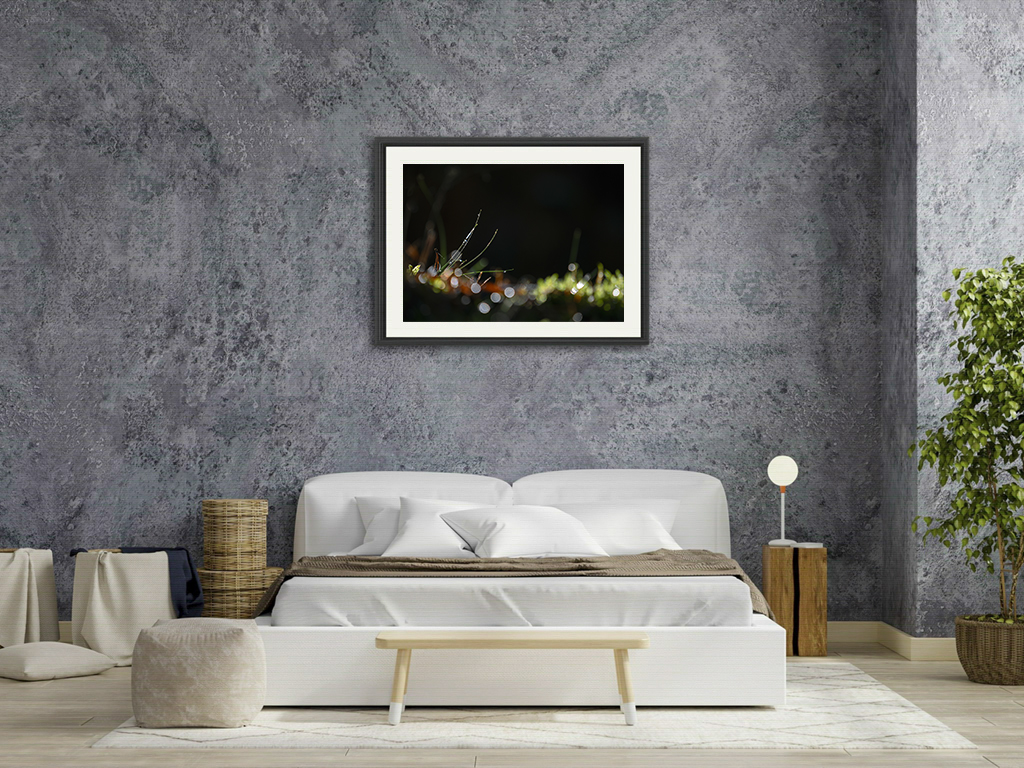 C'est par où le bonheur ? – Image 7