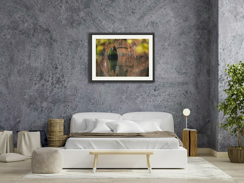 D'Afrique ou d'Asie ? – Image 7