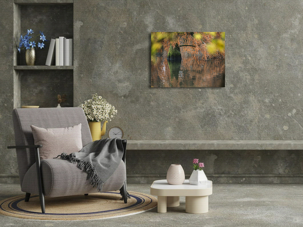 D'Afrique ou d'Asie ? – Image 3