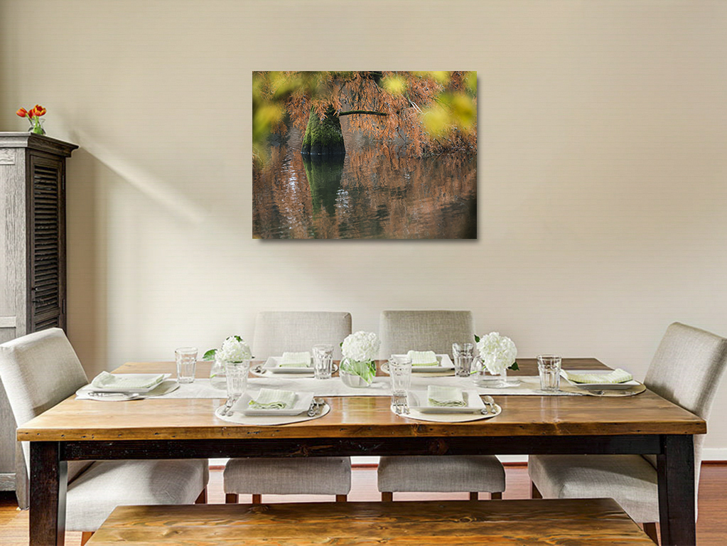 D'Afrique ou d'Asie ? – Image 6