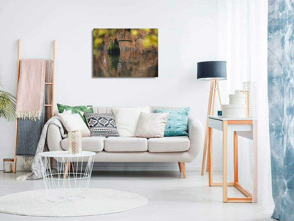 D'Afrique ou d'Asie ? – Image 8