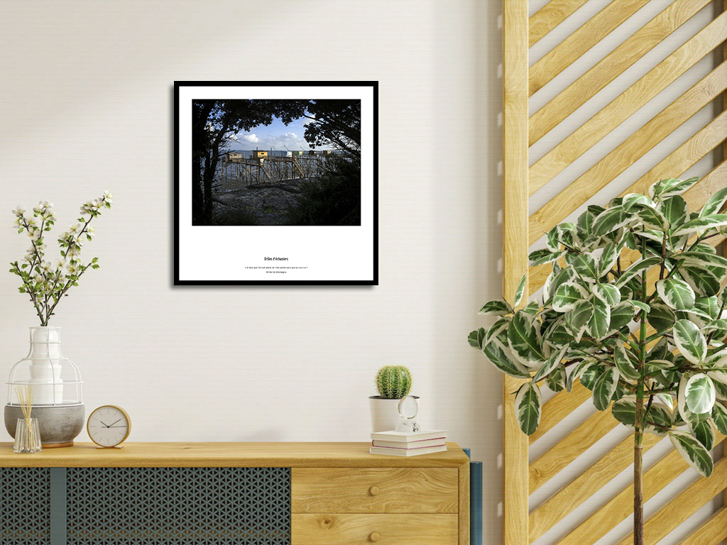 Drôles d'échassiers – Image 4