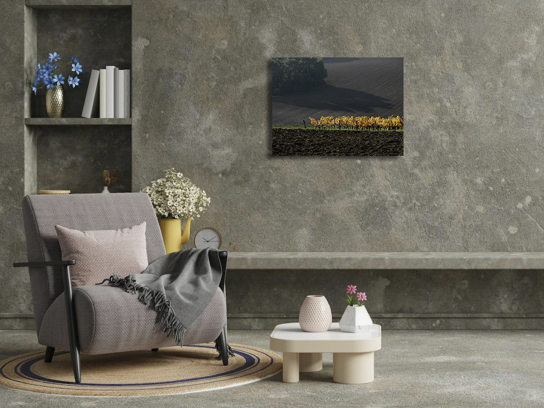 La terre, de l'or en barre – Image 3