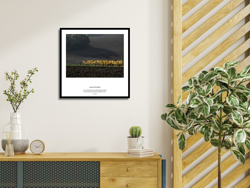 La terre, de l'or en barre – Image 4