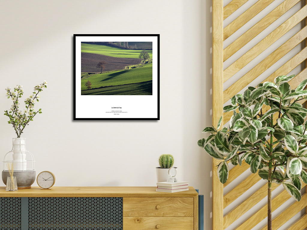 Le chemin de l'eau – Image 4