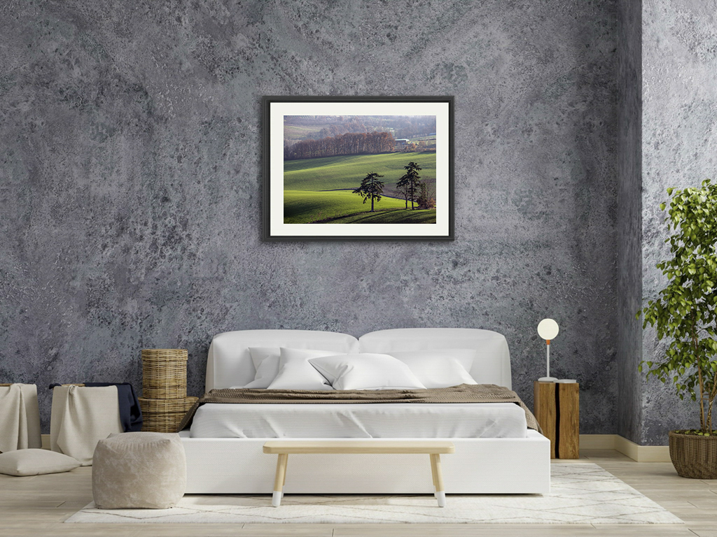 Les deux cèdres – Image 7