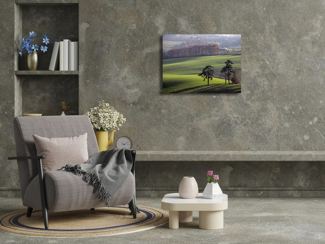 Les deux cèdres – Image 3