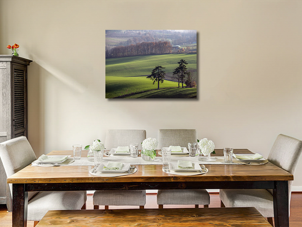 Les deux cèdres – Image 6