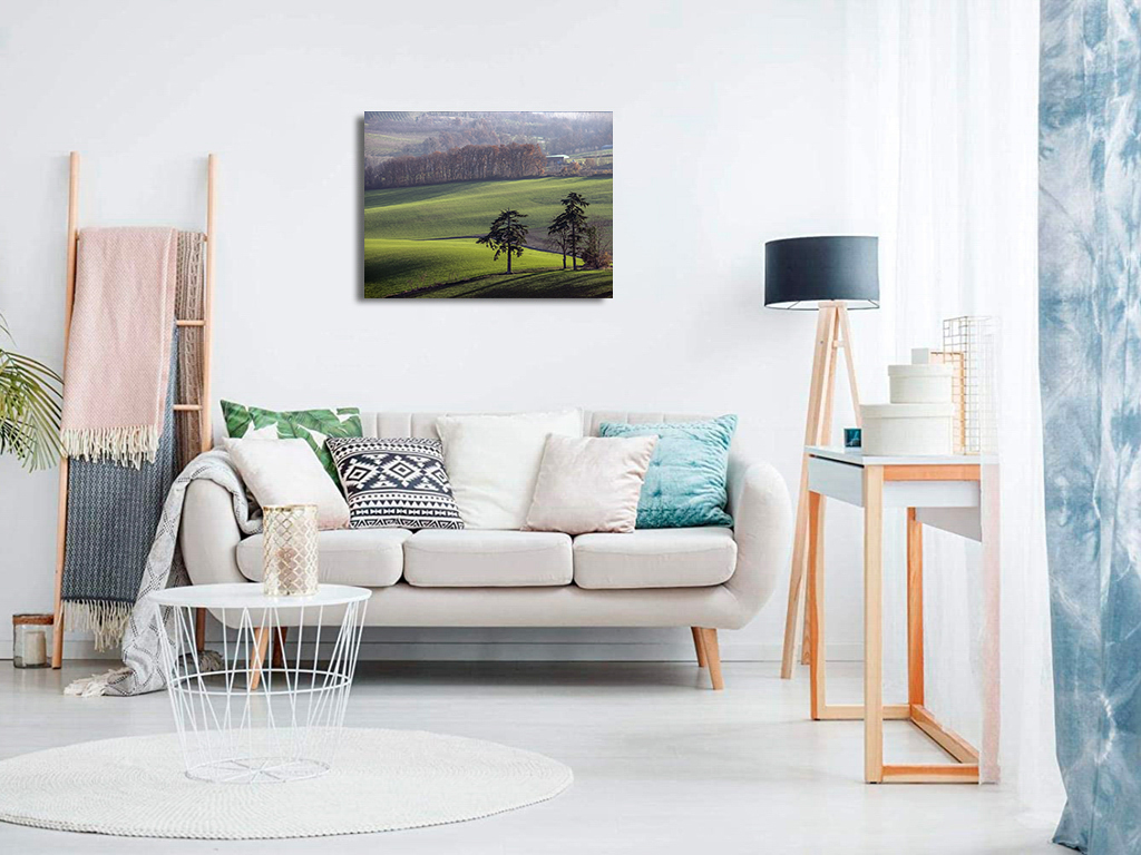 Les deux cèdres – Image 8