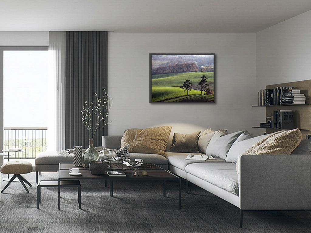 Les deux cèdres – Image 5