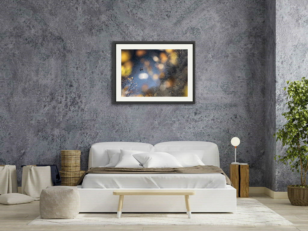 Les trublions du poisson – Image 7