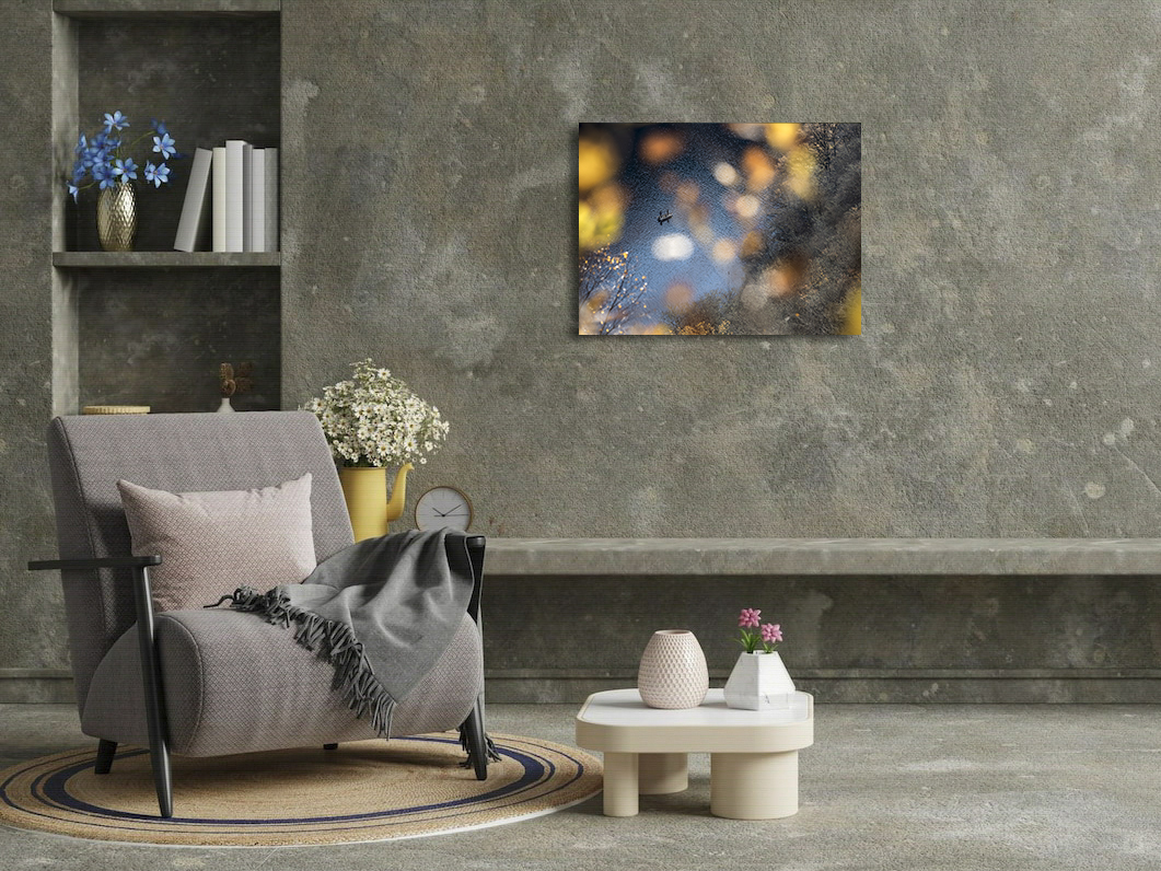 Les trublions du poisson – Image 3