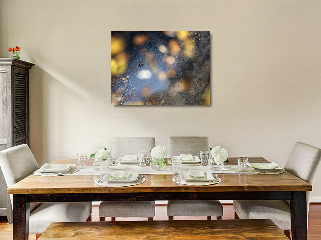 Les trublions du poisson – Image 6