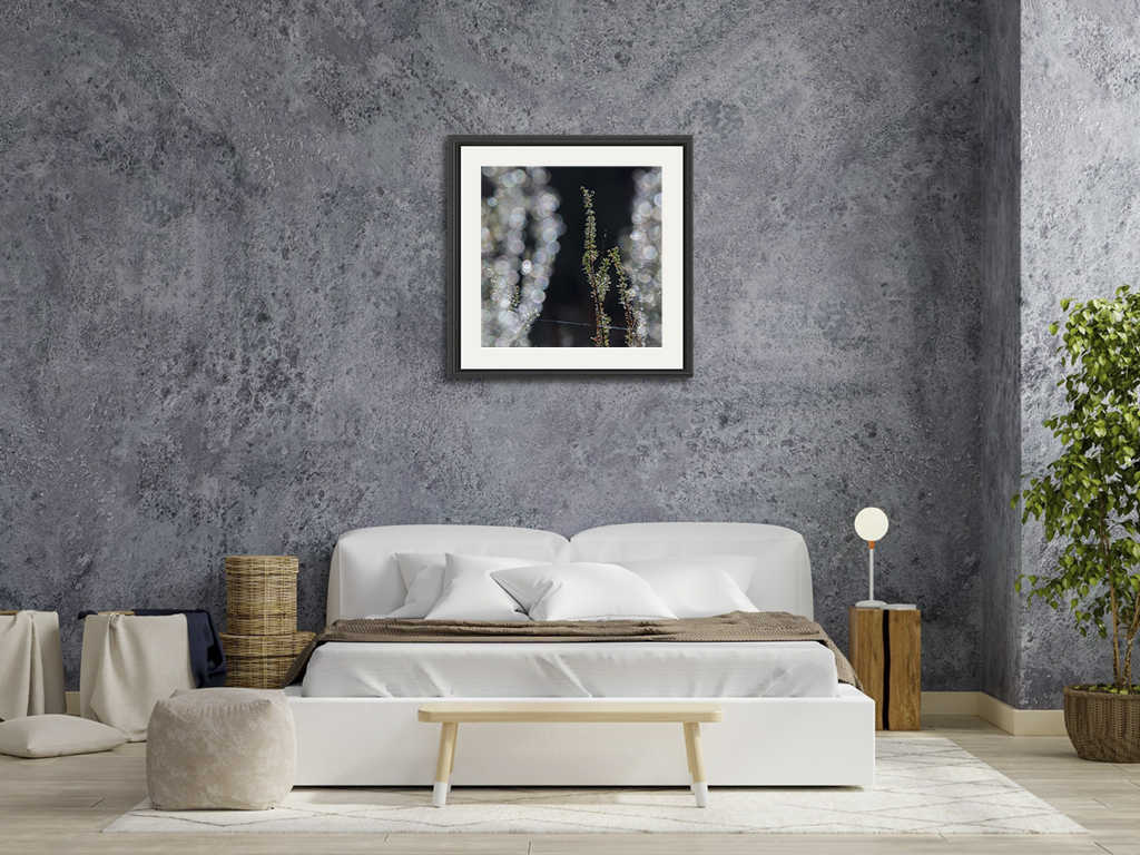 L'hiver ouvre ses rideaux – Image 7