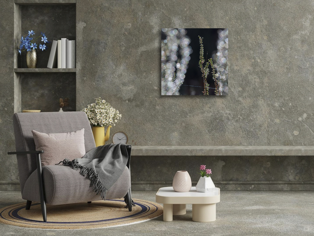 L'hiver ouvre ses rideaux – Image 3