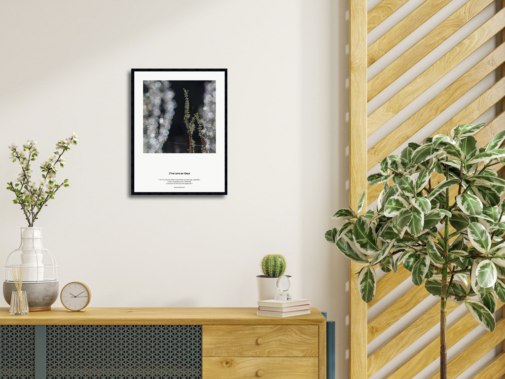 L'hiver ouvre ses rideaux – Image 4