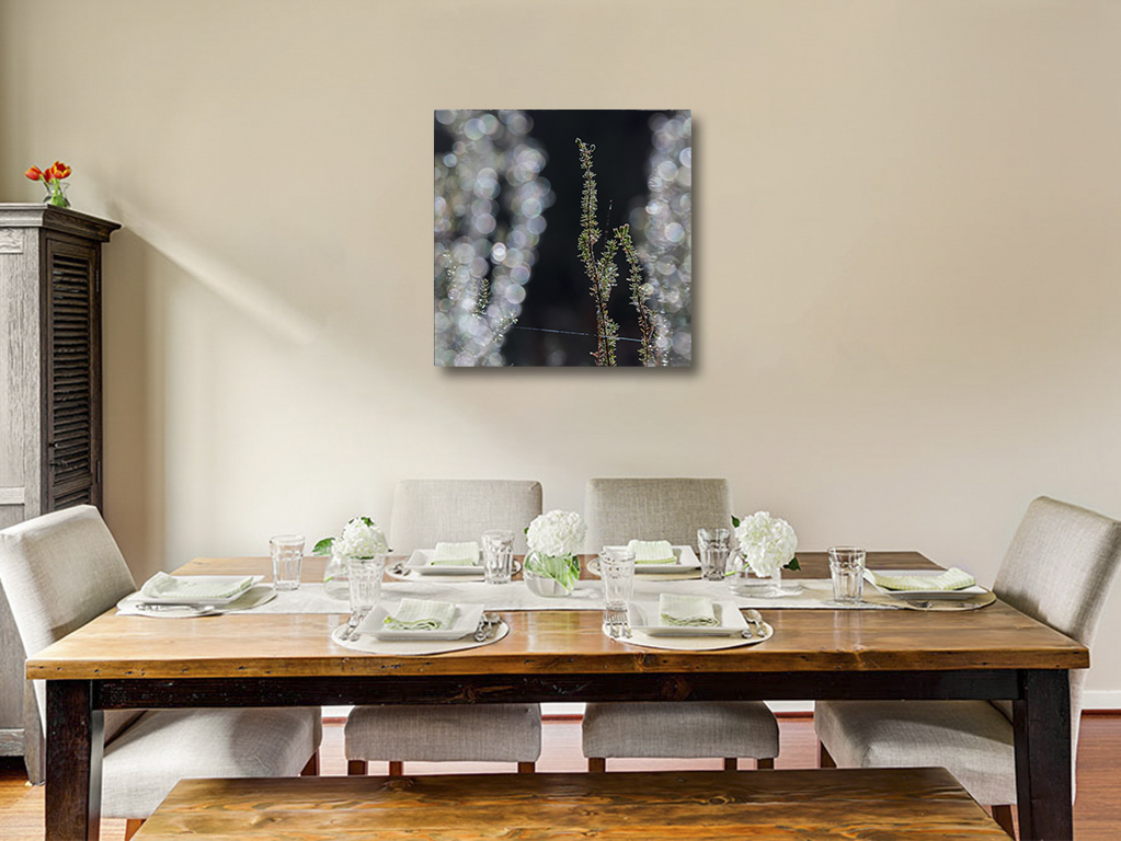 L'hiver ouvre ses rideaux – Image 6