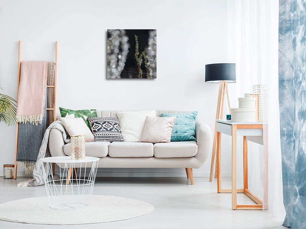 L'hiver ouvre ses rideaux – Image 8