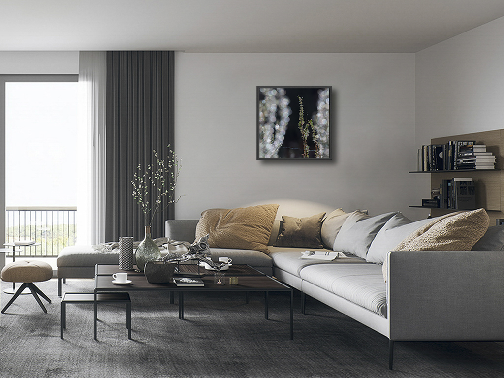 L'hiver ouvre ses rideaux – Image 5