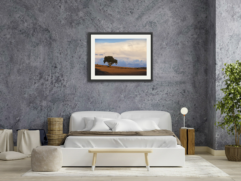 Libre dans sa tête – Image 7