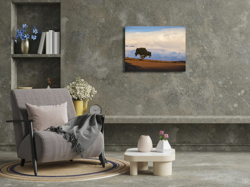 Libre dans sa tête – Image 3