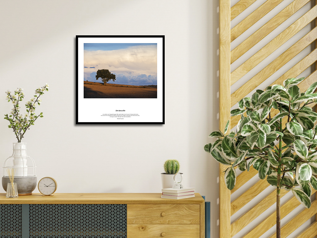 Libre dans sa tête – Image 4